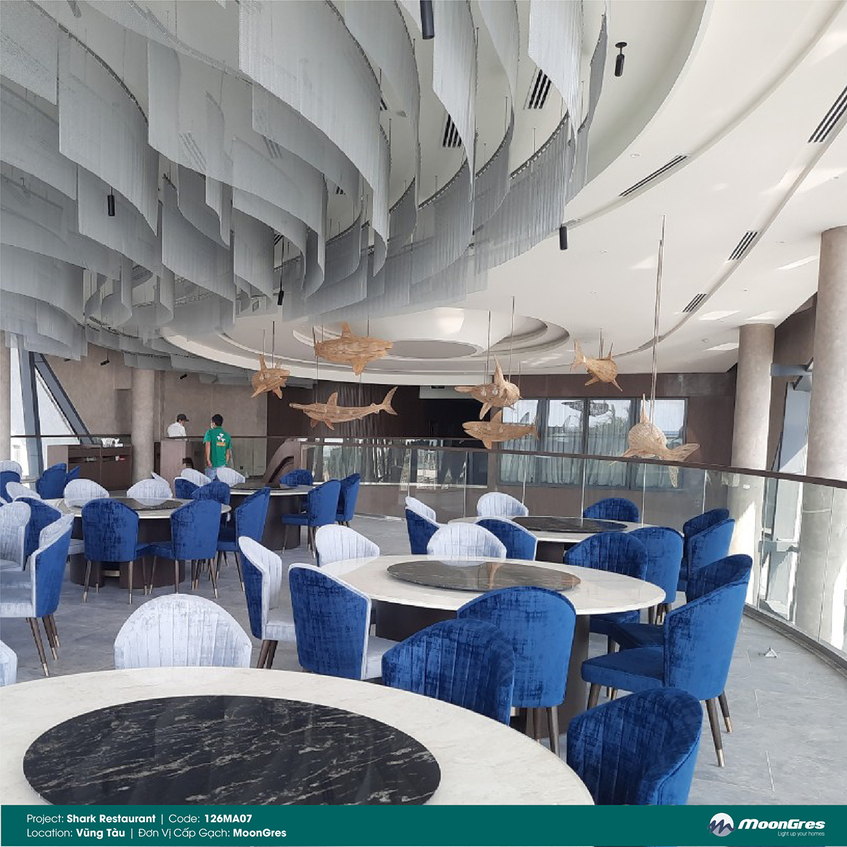 SHARK RESTAURANT-03.jpg